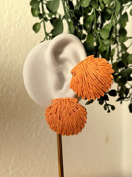 Pendientes rafia y acero concha coral