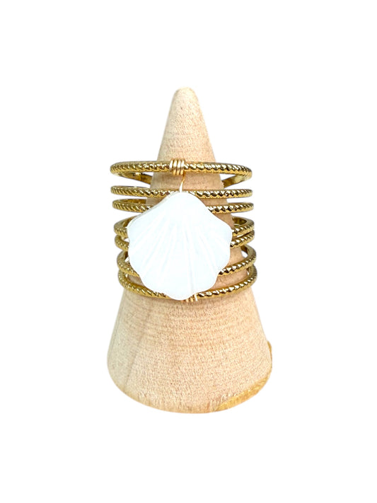 Anillo 7