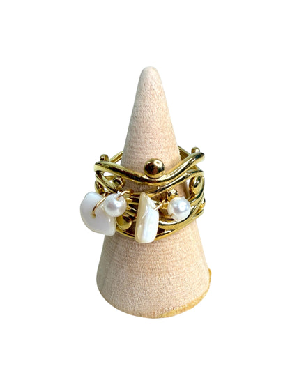 Anillo 6