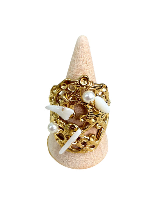 Anillo 5
