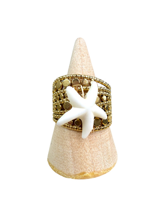 Anillo 2